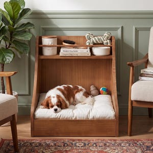 May include: A wooden pet bed with a built-in storage shelf containing a white ceramic treat jar with a paw print, a grooming brush, two books titled Modern Dog Living, a rope toy, and a bowl. A brown and white dog sleeps on the white cushion.
