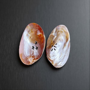 Shell Soap Tray: Polished Iridescent Design - Vanity Organizer