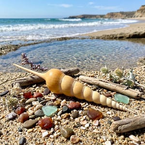 May include: A smooth, light tan, spiral-shaped wooden carving resembling a long, tapered seashell. The object is positioned horizontally among small, multicolored pebbles, pieces of driftwood, sea glass, and dried coastal vegetation.