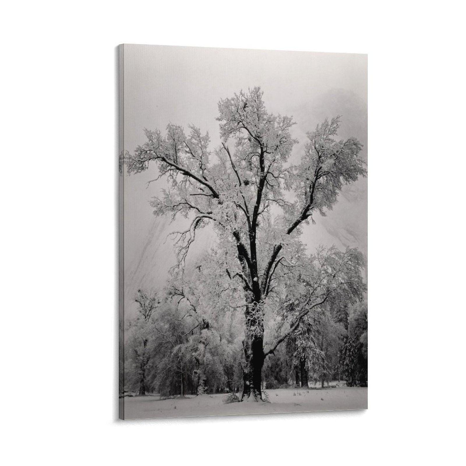 アンセル・アダムス　Ansel Adams　Trees Ansel adams tree print - Etsy 日本
