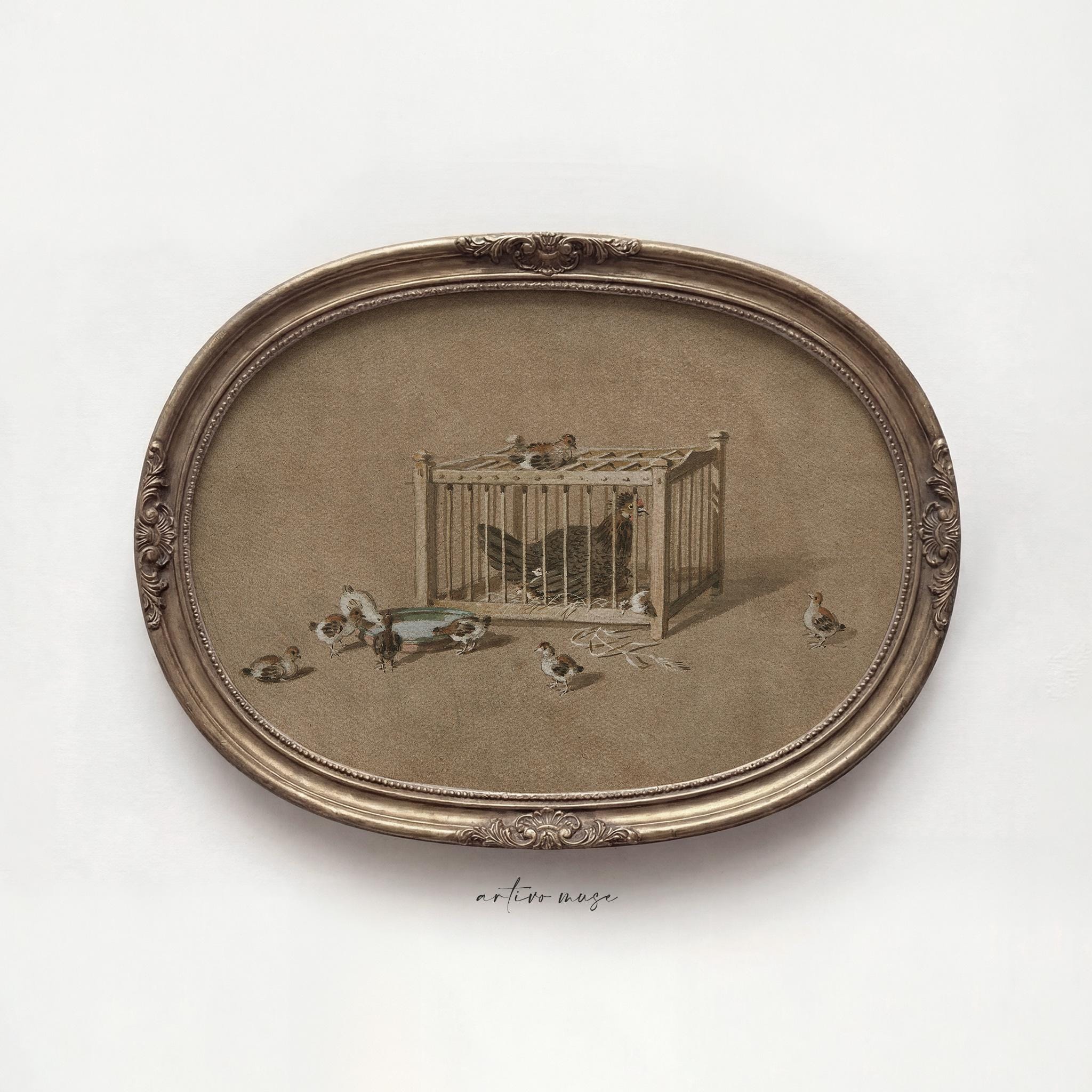 Antique French Bird Cage - Etsy