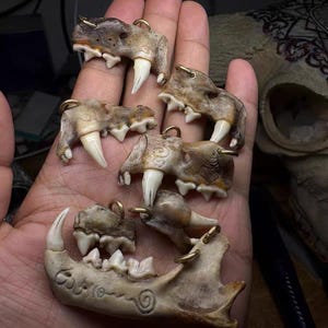 May include: A selection of carved bone pendants, resembling animal jaws and teeth. The pendants are in shades of brown and beige, with white teeth and gold-coloured metal loops for hanging. The pendants are held in a hand.