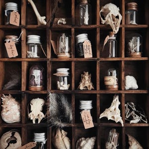 Puede incluir: Un juego de tres tazas de cerámica con un acabado mate moteado. Las tazas son de color crema, marrón claro y marrón oscuro. Cada taza tiene un diseño simple y minimalista.