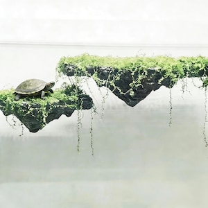 May include: A small turtle rests on a floating, moss-covered rock formation. The dark gray rocks are adorned with vibrant green moss and trailing vines, creating a naturalistic habitat. The turtle has a brown shell and red markings.