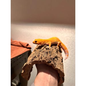 Puede incluir: Un letrero de madera rústica con el texto "Welcome to our home" en letras blancas. El letrero presenta un acabado envejecido y un diseño simple y acogedor, perfecto para la decoración de la entrada.