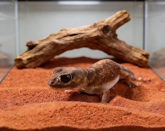 Natuurlijk rood kalkzand voor reptielen: woestijnsubstraat, eenvoudig schoon te maken strooisel