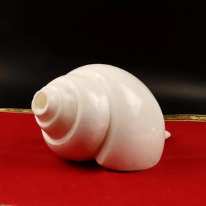 Puede incluir: Una concha marina blanca, lisa y pulida, con forma cónica en espiral y cuerpo redondeado. La concha presenta un acabado brillante y nacarado, con una pequeña abertura circular en la parte superior de la espiral, mostrando un color blanco sólido.
