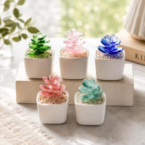 Mini Glass Succulent Plant Pot, Hand Blown Glass Flower Planter, Handmade Crystal Plant Pot, Cute Room Decor, Birthday Gift for Plant Lovers