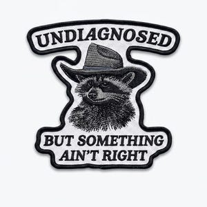 Waschbär Aufnäher Lustiges Zitat, Undiagnostiziert, aber etwas ist nicht richtig Aufnäher, gesticktes Aufnäher für Jacke, Weste, Hut, Geburtstagsgeschenk