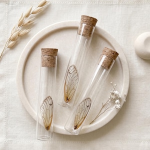 May include: Four clear glass vials with cork stoppers, each containing a delicate insect wing. The vials are arranged on a round, off-white tray, with dried floral accents. The wings have intricate vein patterns and warm brown tones.