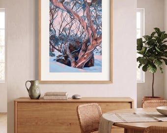 Tasmanian Snow Gum