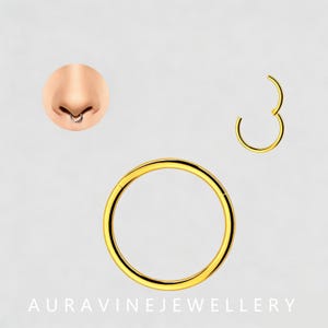 May include: Gold-colored nose ring and a matching open ring, with a close-up of a nose wearing a similar ring. The jewelry is set against a light background. The text "AURAVINEJEWELLERY" is at the bottom.