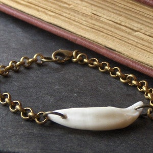 THE CARNAGE . Coyote Tooth Unisex Bracelet in Brass