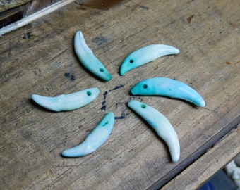 Genuine Coyote Canine teeth, Teal- Turquoise Green Stained Dyed, Set of 6 - drilled, for crafts, jewelry making, etc. Wolf Talisman Amulet