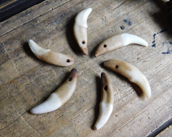 Genuine Coyote Canine teeth, Set of 6 - drilled, for crafts, jewelry making, etc. Stained to look rustic and old. Wolf Talisman Amulet