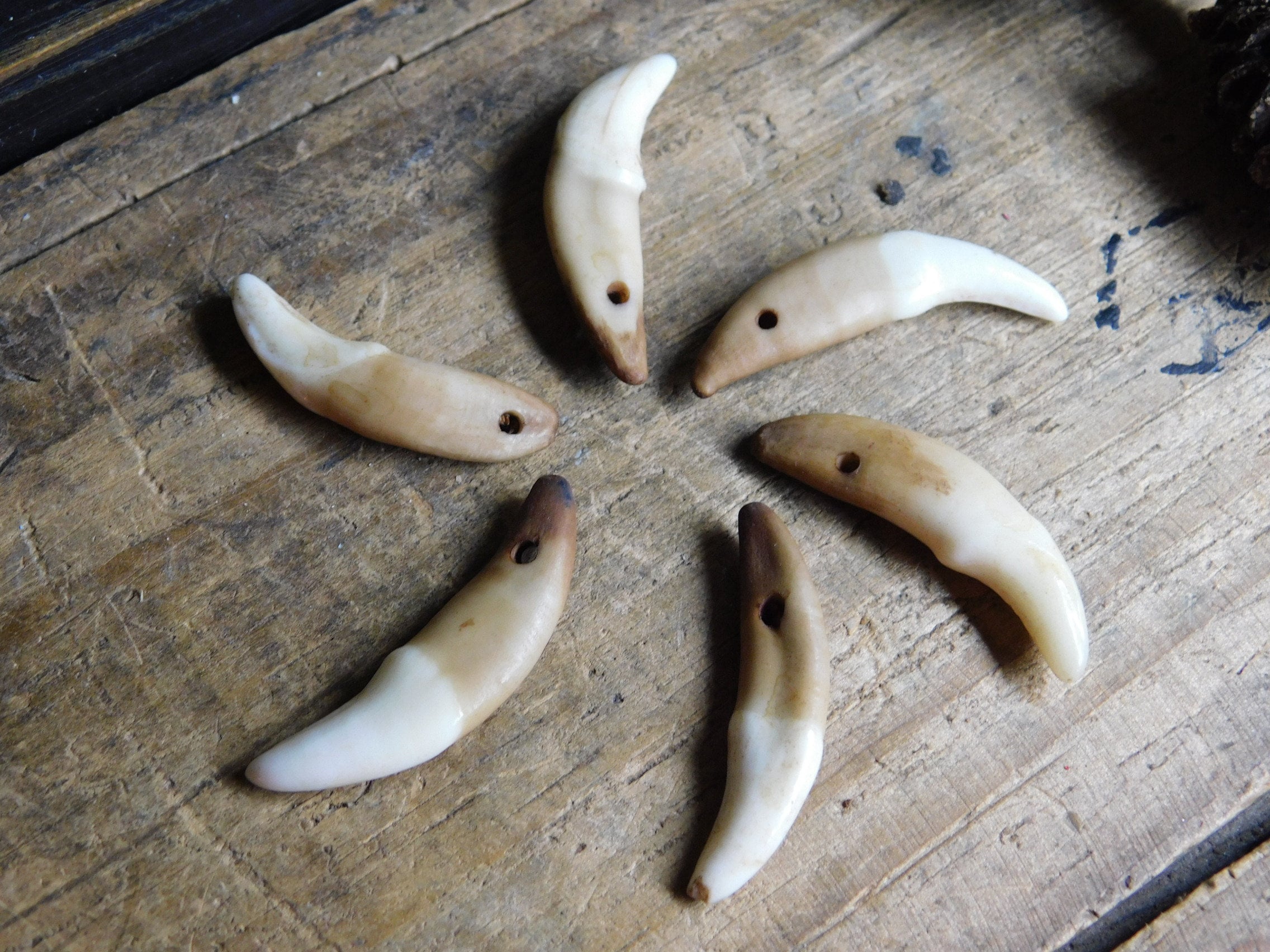 Genuine Coyote Canine Teeth, Set of 6 Drilled, for Crafts, Jewelry Making,  Etc. Stained to Look Rustic and Old. Wolf Talisman Amulet - Etsy