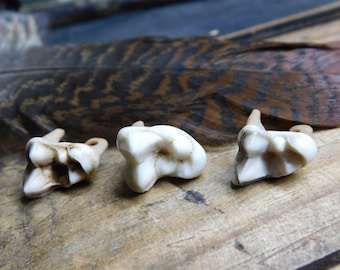 Genuine Coyote Molar teeth, Set of 3 - drilled, for crafts, jewelry making, etc. Stained to look rustic and old. Wolf Talisman Amulet