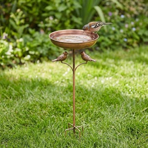 May include: A copper-coloured metal bird bath featuring a circular basin supported by a thin central stand. Two small decorative metal bird figures are attached to the stem below the basin, while a live bird drinks from the water-filled bowl.