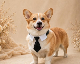 Collare da smoking per cani con papillon, abito da sposo per animali domestici, completo formale per cani, collare da smoking per gatti, accessorio per cane sposo, collare da matrimonio per animali domestici