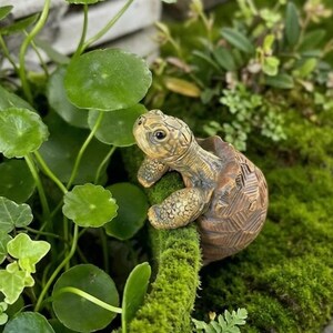 Cute Turtle Plant Pot Hanger, Mini Turtle Planter Clip, Fairy Garden Decor, Hanging Tortoise Pot Buddy, Indoor Outdoor Decor, Gift Lovers
