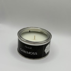 Pintail Oak Moss Paint Pot Candles