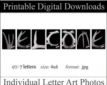 Printable Digital Download Letter Art. WELCOME Wall Art. Qty - 7  Size - 4"x6"  Instantly Download & Print Ind. Letters That Spell WELCOME