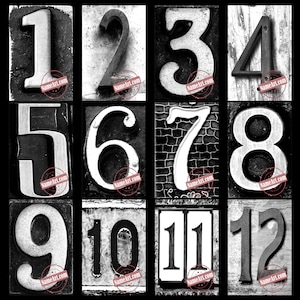 Number Photos Digital Download Printables for DIY Custom Date Wall Art Signs. Numbers 1-31 Size 4x6 Qty 31 Photos in Black and White. image 2