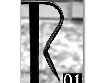 Letter Art Alphabet Pictures. Photos of Letters for DIY Custom Name Sign Gifts. Ships in 24 Hours. Spell Name in Pics. B&W. R