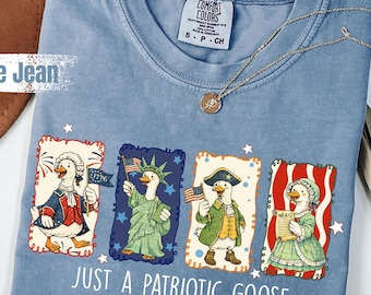 Comfort Colors®America 250 Years Shirt, Comfort Colors Funny Patriotic Tee, Silly Goose Shirt, Civil War History, USA Anniversary