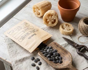 Organic Luffa Sponge Gourd Seeds — Heirloom, 50 Count
