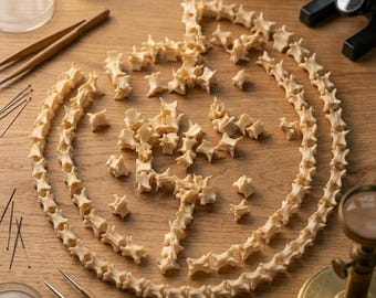 Authentic Snake Vertebrae Beads | Loose Spine Bones for DIY Jewelry | Osteology Collection Piece | Natural Curio Decor