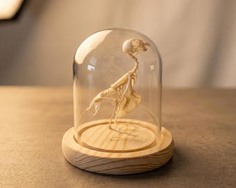 Exhibición de esqueleto auténtico de loro / Hueso de ave bajo cúpula de cristal / Decoración de especímenes naturales / Regalo de estilo Dark Academia