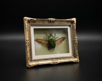Marco con diseño de escarabajo de flores verdes naturales / Decoración con ejemplares de insectos reales / Exhibidor estilo latón dorado / Soporte magnético para pared / Regalo artístico