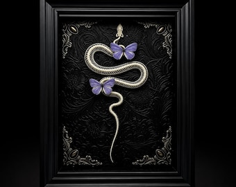 Real Snake Skeleton Specimen Frame | Preserved Snake Bone Display | Gothic Curio Cabinet Decor | Natural History Collectible
