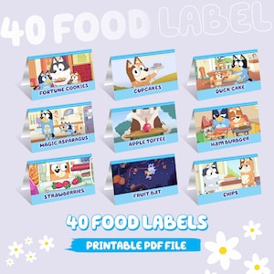 May include: A set of 40 food labels featuring cartoon characters and food names like "Fortune Cookies" and "Cupcakes." The labels are on tent cards with a blue border and silver backing. The text "40 FOOD LABELS" and "PRINTABLE PDF FILE" are also present.
