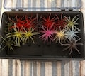 Coike Urchin Bait Holder Insert