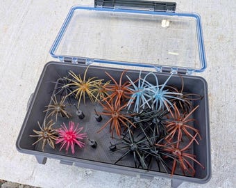 Coike Urchin Bait Holder Insert