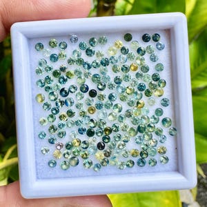Peut inclure: Un assortiment de petits gemmes ronds dans un plateau blanc. Les gemmes sont un mélange de couleurs, dont le bleu, le vert et le jaune. Le plateau est tenu par une main, avec un arrière-plan vert flou.
