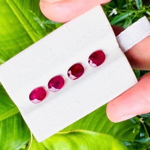 Puede incluir: Cuatro rubíes de color rojo intenso con corte ovalado están dispuestos en una fila horizontal sobre una tarjeta de presentación blanca. Cada piedra preciosa presenta una superficie facetada que refleja la luz y un tono carmesí vibrante.