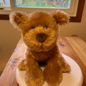 Gund cockapoo plush toy blue eyes at VelmasVintageToys