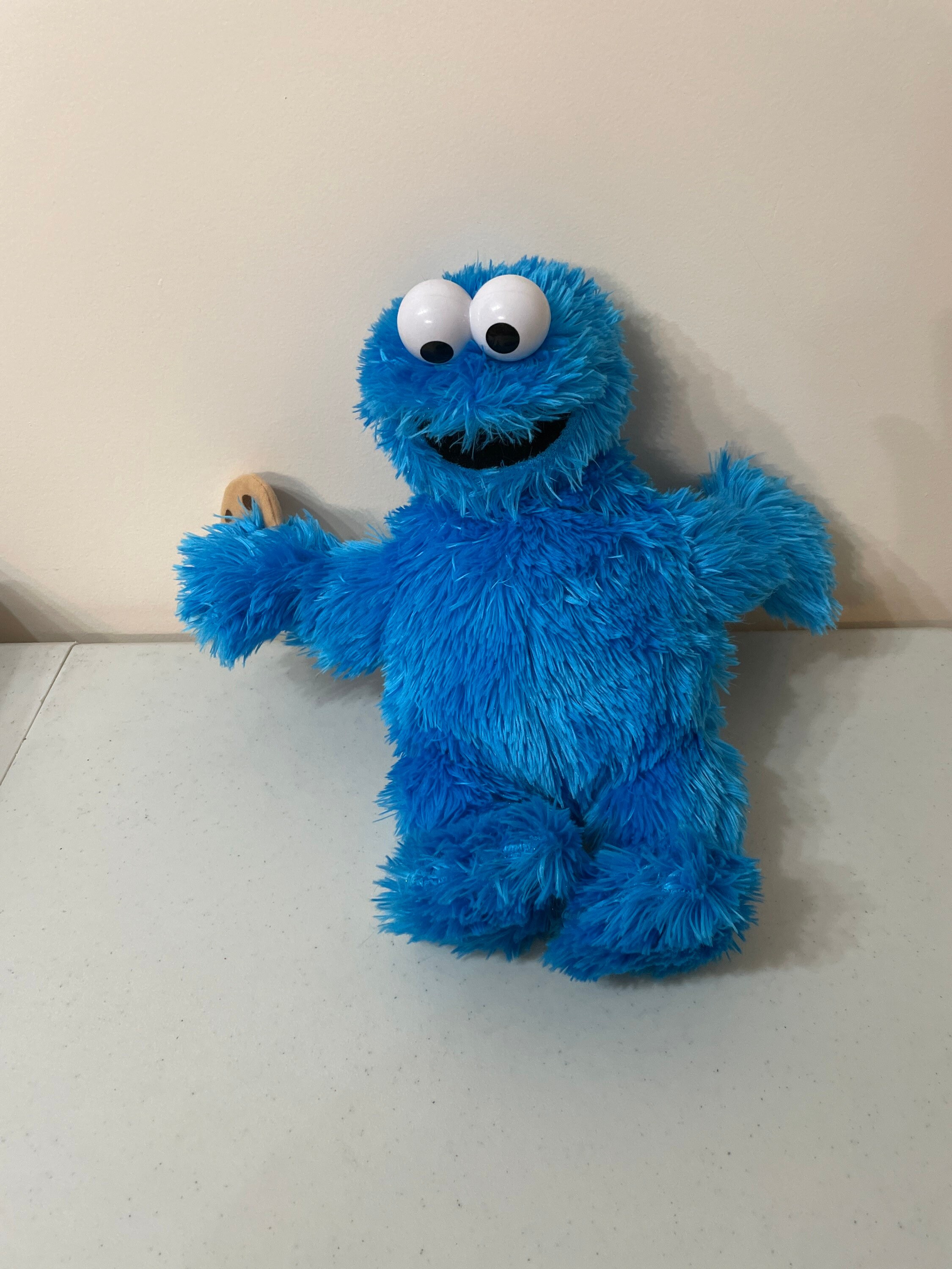 giant stuffed cookie monster