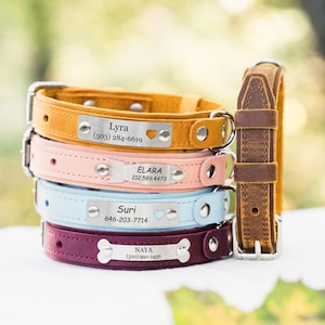 Può includere: Una pila di collari personalizzati per cani in vari colori: marrone, rosa, azzurro e bordeaux. Ogni collare ha una targhetta metallica con un nome e un numero di telefono. È visibile anche un collare separato in pelle marrone.