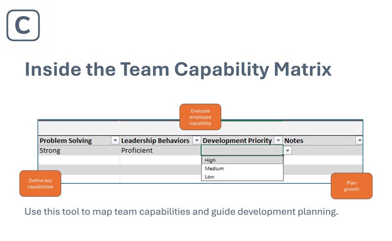 Team Capability Matrix | Team Skills Assessment Excel Tool - Etsy