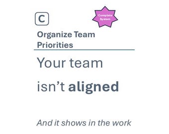 Organize Team Priorities | Manager Toolkit | Delegation, Expectation Setting & Prioritization System