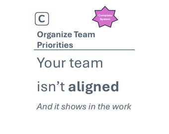 Organize Team Priorities | Manager Toolkit | Delegation, Expectation Setting & Prioritization System