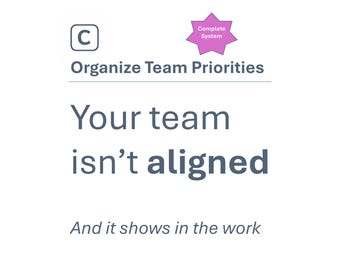Organize Team Priorities | Manager Toolkit | Delegation, Expectation Setting & Prioritization System