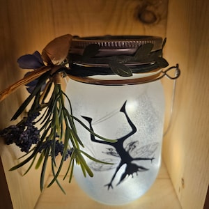 May include: A glass jar with a fairy silhouette inside. The jar has a metal lid with a green leaf design. The jar is sitting on a wooden shelf.