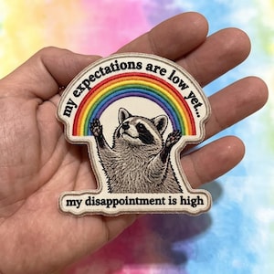 Raccoon Embroidered Patch, Cute Animal Jacket Accessory, Rainbow Trash Panda Backpack Tag
