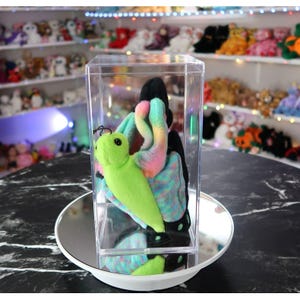 May include: A soft toy butterfly, featuring a green body and rainbow wings, is displayed inside a clear plastic box. The toy has black antennae and is presented on a mirrored surface. A variety of soft toys are visible on shelves in the background.
