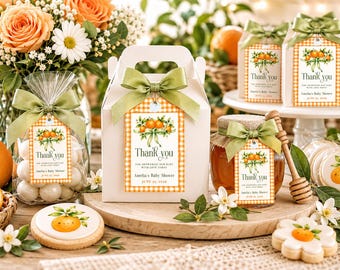 Eine kleine süße Favor Tag Vorlage, sofortiger Download, bearbeitbare Babyparty Dankeschön Tag, Citrus Babyparty Favor Tag, druckbares Etikett, BB5